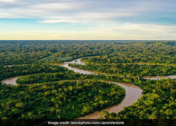 Climate Change Could Reduce Amazon’s Methane Absorbtion By 70%: Study