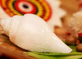 Vastu Benefits of Keeping a Conch Shell (Shankh) at Home