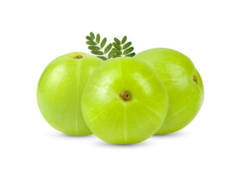 Amla: The Fruit of Health and Beauty
