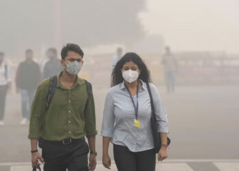 Breathe Safe in a Polluted World: 5 Simple Home Remedies
