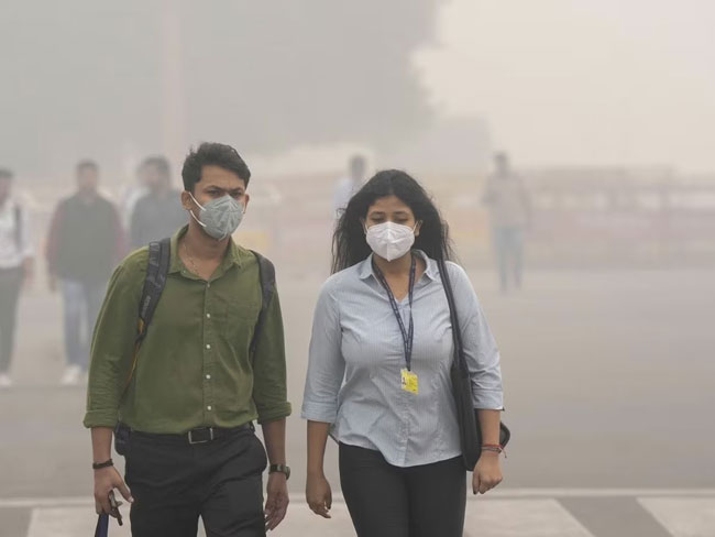 Breathe Safe in a Polluted World: 5 Simple Home Remedies