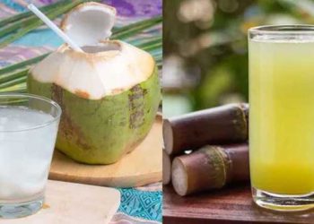 Summer Hydration: Coconut Water vs Sugarcane Juice