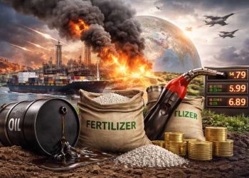 War Impact on Oil, Fertilizers, and Energy: How Lives Are Being Affected