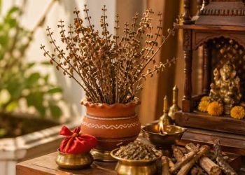 Dry Tulsi Still Holds Value: Traditional Remedies for Prosperity