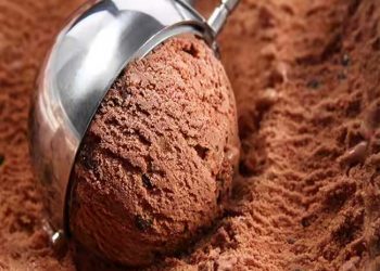 Homemade Nutritious and Delicious Chocolate Ice Cream