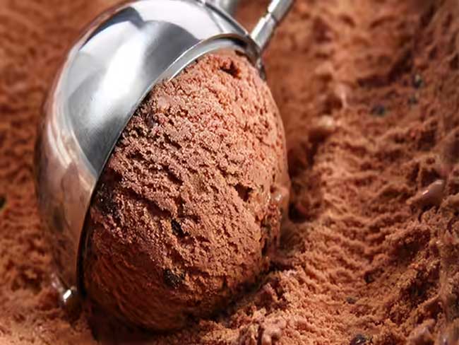 Homemade Nutritious and Delicious Chocolate Ice Cream