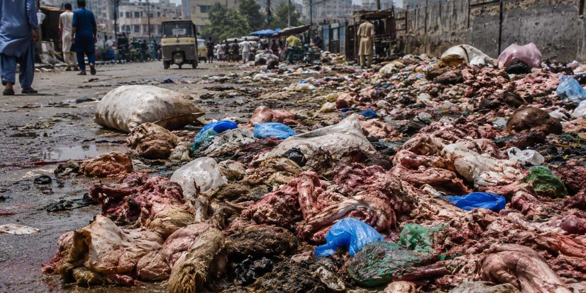 The Stench After Sacrifice: Karachi’s Silent Breakdown