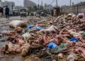 The Stench After Sacrifice: Karachi’s Silent Breakdown