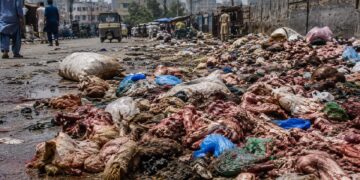 The Stench After Sacrifice: Karachi’s Silent Breakdown