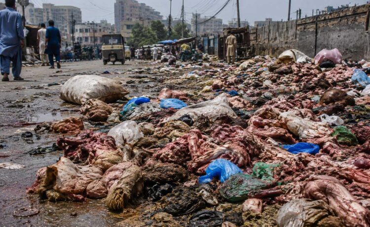 The Stench After Sacrifice: Karachi’s Silent Breakdown