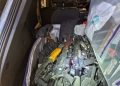 Pakistani National Among Three Charged in US Gun Smuggling Case