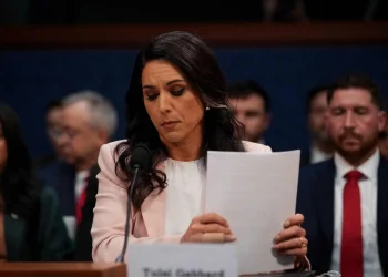 Tulsi Gabbard Resigns from Trump Cabinet — Why Did She Suddenly Step Down?