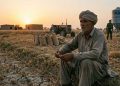 Beyond Hoarding: The Structural Roots of Pakistan’s Wheat Shortage