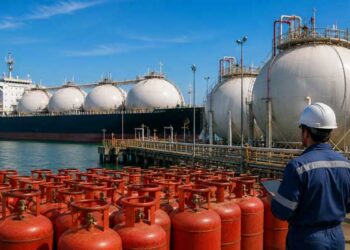 India Sets Record LPG Imports from US Amid Hormuz Supply Concerns