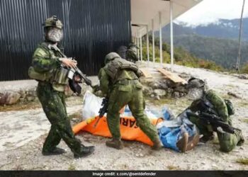 American Pilot Killed in Papua Rebel Attack, Indonesian Troops Recover Body